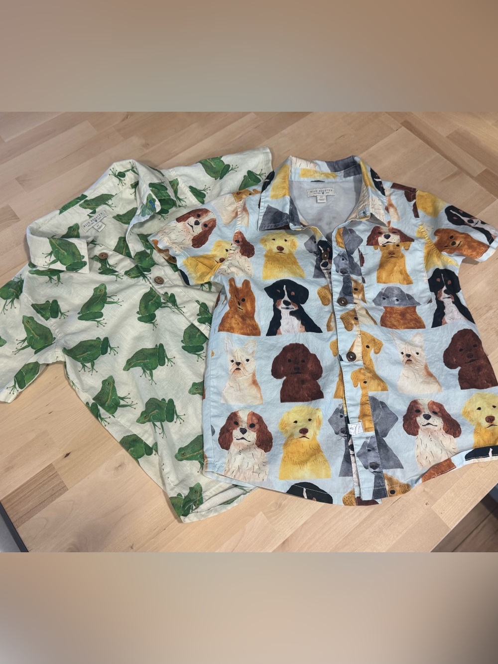 Blue Rooster Boys Shirts